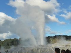 今年の夏も南半球へ～NZ⑦～（オークランド発ワイトモ・ロトルア1日バスツアー）