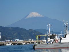 ヤッホー！富士山が見れた＆大道芸ＩＮ静岡