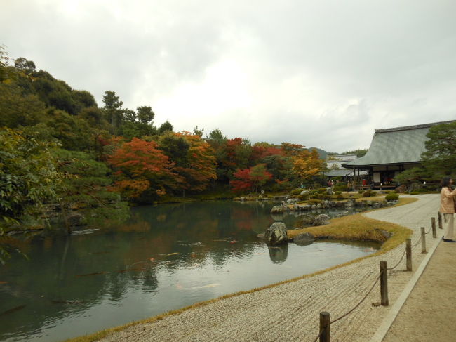 曇り空も晴れ<br />落柿舎から清涼寺〜大覚寺〜福王子神社〜仁和寺〜金閣寺〜嵐山駅<br />徒歩で散策して意外な物を発見、宇多野山越で？<br />京都には似合わないものでした<br />金閣寺は何時でも観光客で一杯、歩くのも大変、人、人・・・・・・<br />今の時期、修学旅行で来ている学生<br />制限時間内で観光めぐり大変の様です<br />一人旅で制限時間なしの気ままな寺社めぐりでした