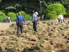 上海の魯迅公園・国際灯籠・後編・2012年