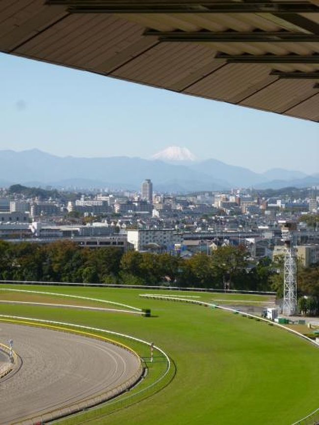 2012年11月4日　東京競馬場へ招待されました♪<br /><br />1年ぶりです。<br />フジビュースタンドの8階にあるVIPルーム。<br />天気に恵まれ、冠雪した富士山と輝く芝生が美しい。<br />ゆったりとシャンパンや赤ワインを頂きながら、観戦♪<br />