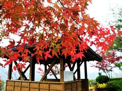 紅葉の羅漢寺