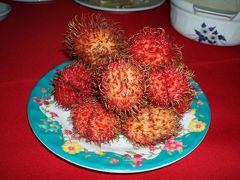 真夏のふねに揺られて☆ベトナム北部