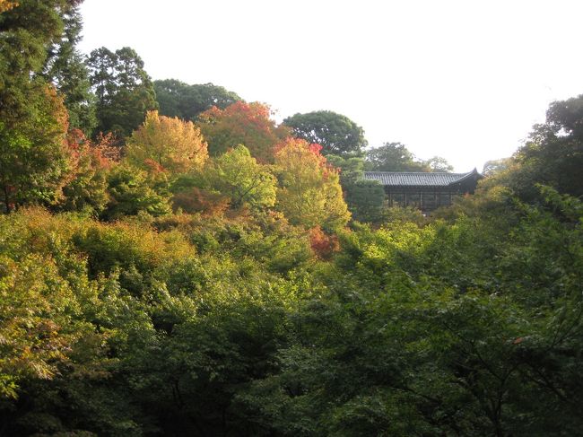 ●初秋の京都を弾丸観光してきました　その1●
