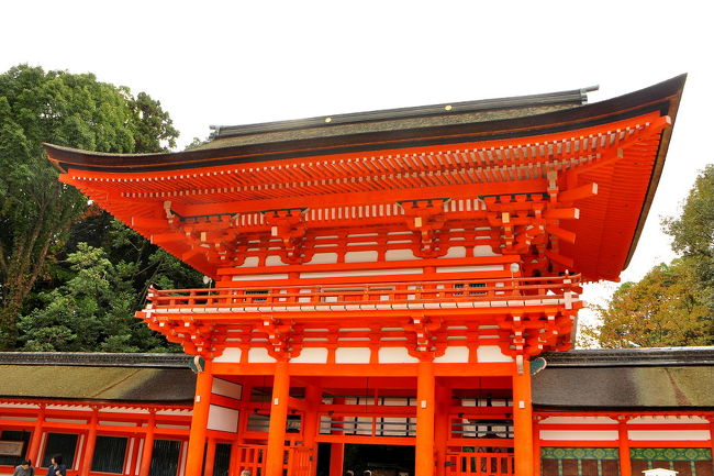 20121103京都巡り（１）下鴨神社を歩く