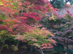 三次へ紅葉狩ツーリング