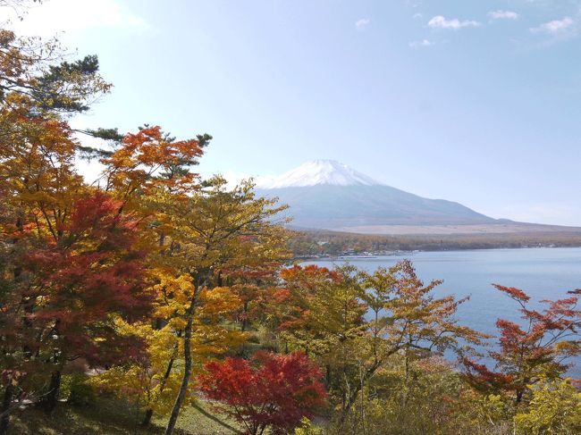 自宅を出るまで天城方面に行こうとしていました。ところが富士山が綺麗に見えていたので、富士山一周に切り替えました。紅葉も綺麗だろう…と言うのも理由の一つです。<br />第二回で篭坂峠－自宅です。<br /><br />★山中湖村役場のHPです。<br />http://www.vill.yamanakako.lg.jp/<br /><br />★山中湖観光課のHPです。<br />http://www.vill.yamanakako.yamanashi.jp/<br /><br />★山中湖交流プラザきららのHPです。<br />http://www.kirarayamanakako.jp/<br /><br />★富士吉田市役所のHPです。<br />http://www.city.fujiyoshida.yamanashi.jp/forms/top/top.aspx<br /><br />★富士吉田市歴史民俗博物館のHPです。<br />http://www.fy-museum.jp/forms/top/top.aspx<br /><br />★鳴沢村役場のHPです。<br />http://www.vill.narusawa.yamanashi.jp/forms/top/top.aspx