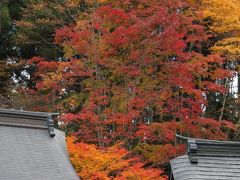 奥秩父の紅葉を訪ねて2012　三峰神社　Autumn color in　Mitsumine Shrine/Saitama 