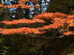 和歌山県への１泊ドライブ・①高野山の紅葉