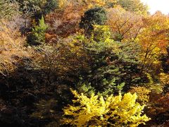 ○中津峡へ紅葉狩り