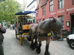 行きあたりばったりのんびり旅!!ベルギー4日目!!