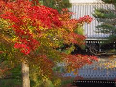 2012　京都紅葉だより(1)　南禅寺界隈～天授庵～永観堂辺り