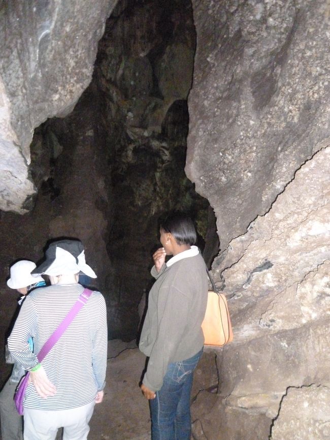人類の祖先とされるアウストラロピテクス・アフリカヌスの頭蓋骨やあごの骨の化石が発掘されたスタークフォンテン洞窟を訪れました。