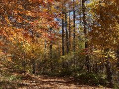 奈良倉山と鶴寝山　紅葉サイコーッ！