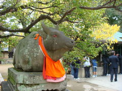 京都に行こう。紅葉を求めて。