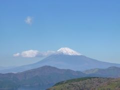 晩秋の伊豆高原オーペルジュ　愛犬とグルメの旅♪　Ｖｏｌ１（第１日目）　☆東京～伊豆高原：箱根の絶景とランチの地魚グルメ♪