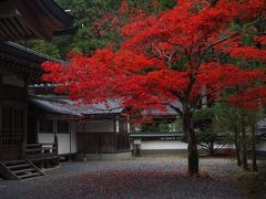 高野山で紅葉を愛でる