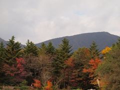 色づき始めた箱根湿生花園の紅葉　グレインでのランチ　２０１２年１１月