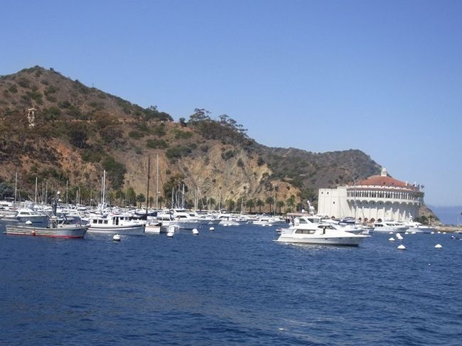 今日はロングビーチから高速船で行ける「Catalina Island」へ日帰りで遊びに行きます。<br />＜http://www.catalinachamber.com/＞<br /><br />Darlingも初めてとのことで二人ともわくわく♪<br />宿泊もしたかったのだけど決められた時間の中でやりたいこと、行きたいとこ満載なので偵察で今日は我慢。これで気に入れば次に宿泊すれば良い。<br />ということで1時間で夢のような素敵な島へ行ってきました。