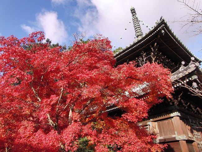 2011年の京都(紅葉狩り)旅行記録です。<br /><br />11/13：嵐山もみじ祭<br />11/26：大山崎・京都駅周辺<br />11/27：東福寺・銀閣寺<br />12/4 ：嵯峨嵐山・二条城