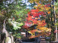 子どもと一緒に訪ねる、湖東三山・西明寺の苔むす境内と色付きはじめた紅葉