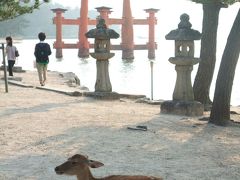 広島・宮島