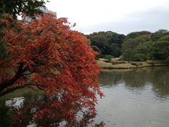 フラッと六義園（２回目）