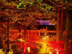 2012　京都紅葉だより 2 比叡山延暦寺へ