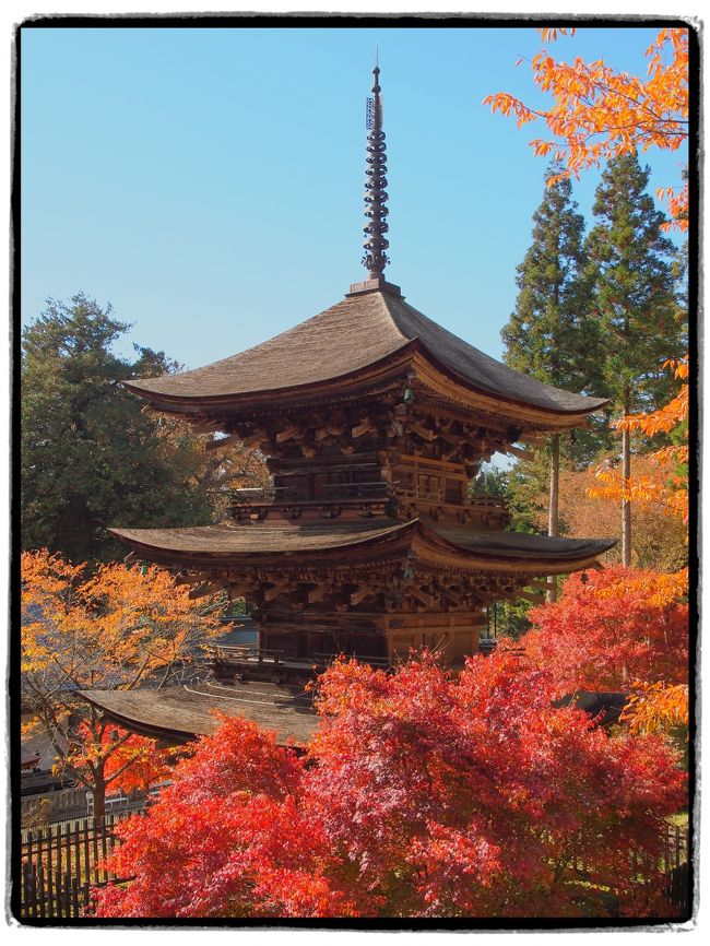 【日帰りの旅。東信濃・佐久平の紅葉巡り②】<br /><br />東信濃・佐久平紅葉の旅は、旧中込学校からさらに南下し、いにしえの歴史を残すスポットを巡ってゆきます。<br /><br />日本に2つしかない星形の西洋城廓である「龍岡城五稜郭」で、幕末の近代化への情熱の欠片を感得するとともに、佐久地方の古刹である「新海三社神社」と「貞祥寺」を訪れ、ちょうど紅葉に彩られた三重塔を見ることができました☆<br /><br />今回訪れたスポットは、(東京に住む人間からすると)どちらかといえばあまり著名ではないと思いますが、その分静かな環境の中で、実際に目の当たりにした時の驚きと興奮は、まったく知らなかった光景に出会えただけに倍増しますね~。<br /><br />〔旅の行程〕<br />・龍岡城五稜郭 ~ 新海三社神社 ~ 貞祥寺(島崎藤村旧宅) <br /><br /><br />【旅行記その1】~奇岩が彩られた内山峡(with 旧中込学校)~ <br />・http://4travel.jp/traveler/akaitsubasa/album/10725053/<br />【旅行記その3】~黄葉に彩られた断崖絶壁にかかる布引観音堂(with ……)~<br />・http://4travel.jp/traveler/akaitsubasa/album/10726560<br />【旅行記その4】~夕陽に彩られた小諸城址懐古園(with 紅葉ライトアップ)~<br />・http://4travel.jp/traveler/akaitsubasa/album/10726771