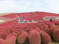 赤く燃える丘へ