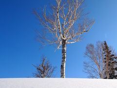 2012年　春の北海道スキー旅行　～キロロスキー場、札幌国際スキー場～　1日目