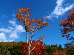 燃える秋（紅葉）　みちのく　白河　南湖公園−３　翠楽苑　下