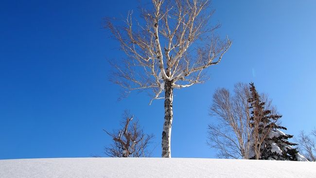 毎年恒例の北海道スキーの3月バージョンです。<br />今回は1日目にキロロスキー場、2日目に札幌国際スキー場で滑りました。<br />宿泊は札幌市内の札幌グランドホテルです。<br />2日目は一度やってみたかった、スーツ姿でのスキーを実行しました！