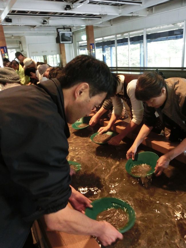 ご訪問をありがとうございます。<br /><br />佐渡旅行3日目は、たらい舟と砂金採りを体験しました。<br />