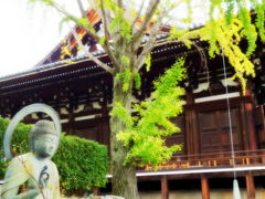 よっしゃ、京都へ行くどす(ぇ)！2012。　真如堂～金戒光明寺、雨足編。