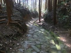 男一人　秋の熊野古道を歩く　①近露王子～滝尻王子