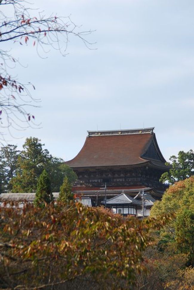 ちょこっと奈良　吉野の早い紅葉とか 蔵王堂特別開帳 とか。