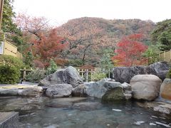 富山庄川温泉 「ゆめつづり」 宿泊