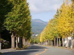 いいかんじ・・・初・新東名で行く駿河平銀杏大通りの黄葉