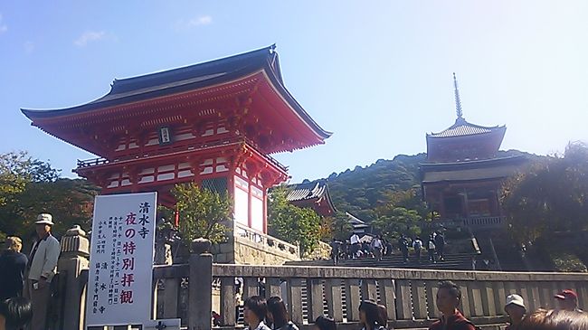一度行ってみたいと思っていた、エクシブ京都八瀬に行ける機会があったので、<br />一泊して、京都を観光しました。<br />清水寺、嵐山、保津川下りなど、ベタな観光地をまわりました。<br />話題の京都水族館にも行ってきました。