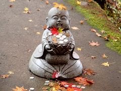 紅葉の袋田の滝ともみじ寺