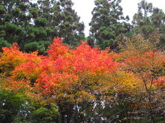 花貫―袋田ー竜神、紅葉狩りの日帰りツアー（１）花貫渓谷へ。