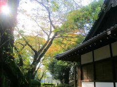 色づき始めた上野公園と東京国立博物館（前に見損ねた本館２階と法隆寺宝物館）