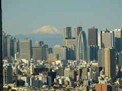 秋晴れの都心で富士山と菊花壇観賞