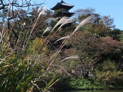 横浜へ…２０１２．１１．１４　自転車でウロウロ…①