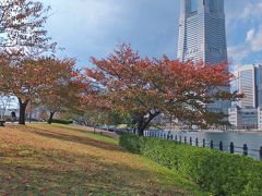 横浜へ…２０１２．１１．１４　自転車でウロウロ…②