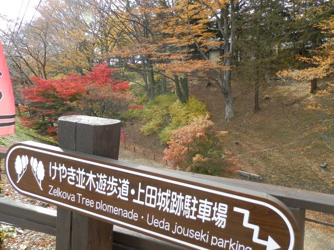 上田城跡公園は、長野県上田市に有る、上田城を中心に整備された公園である。<br />上田城の本丸、二の丸を中心に市民会館や、プール等が整備されていて市民の憩いの場となっている。<br />尚、毎年4月上旬から5月上旬にかけての観桜シーズンには「上田城千本桜まつり」が催されている。<br />又、紅葉シーズンにも全国から観光客がが訪れる観光名所で有る。<br />ちなみに、専用の駐車場は無料開放されているので観光客には嬉しい限りである。<br /><br />