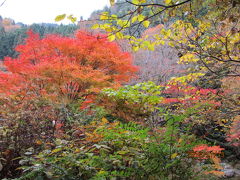 花貫―袋田ー竜神、紅葉狩りの日帰りツアー（３）花園花貫の渓谷を下る。 