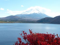 富士と紅葉の旅♪、河口湖もみじ回廊、忍野八海