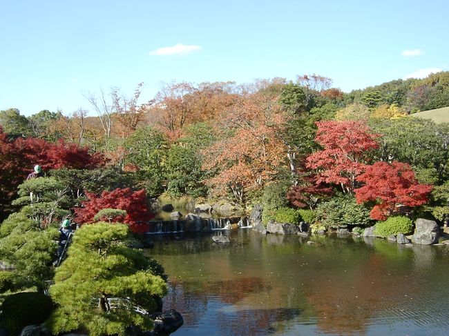 天気が良かったので<br />明日の無料日を待てずに行ってきました♪